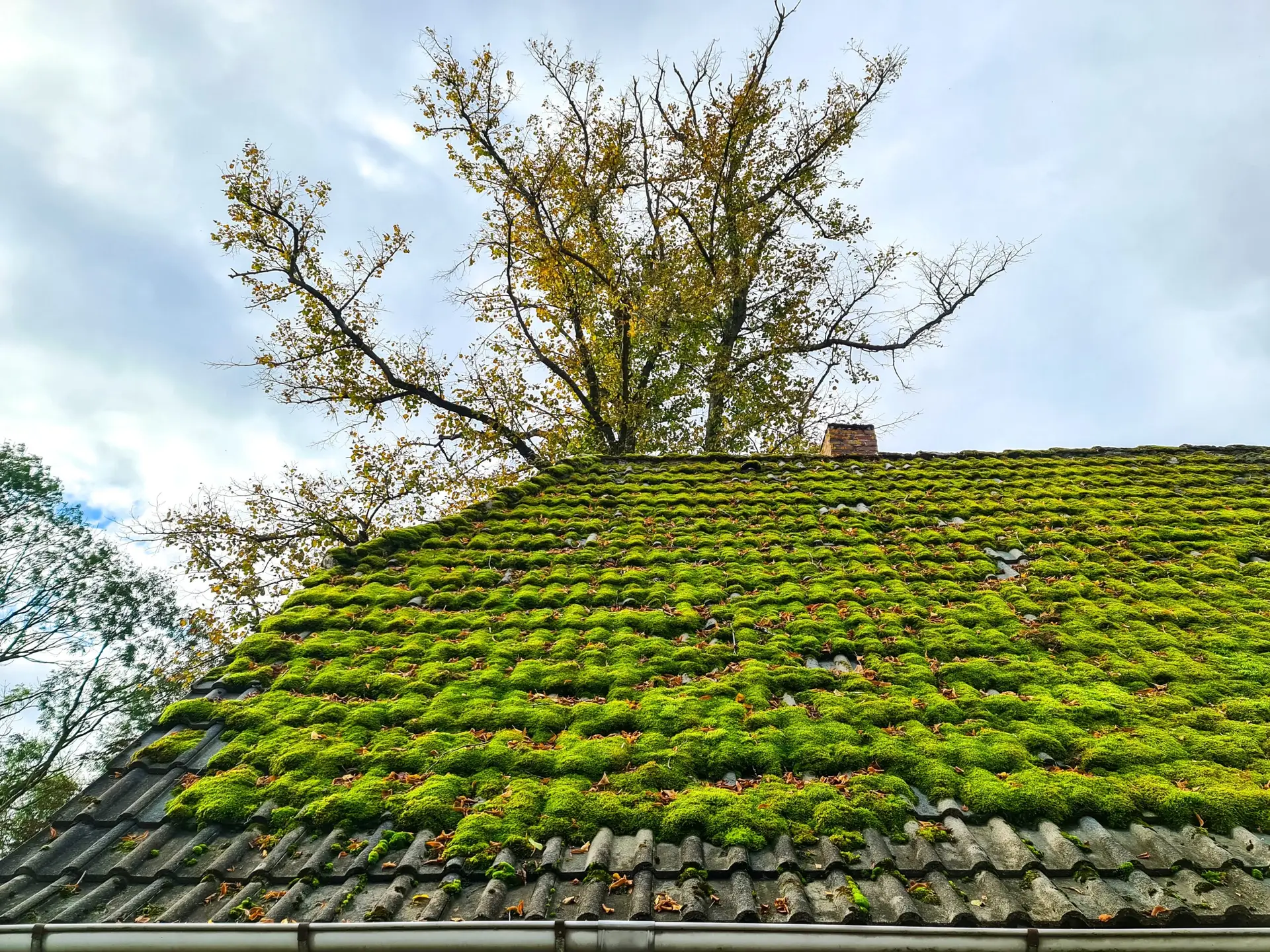 What Is "Greenest Roofing," Exactly?