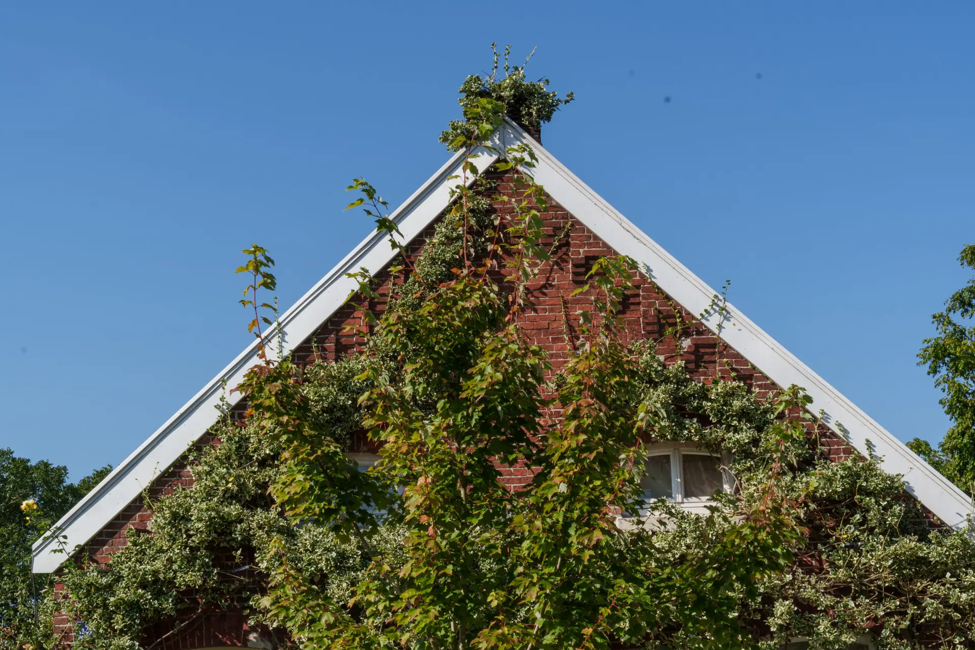 Greenest Roofing (4)